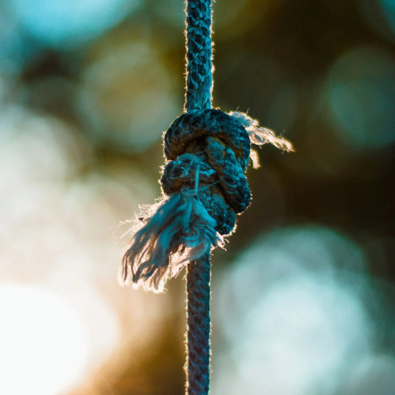 7 Crucial Camping Knots That Could Save your Life