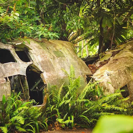 The Survival Mindset, A Skill We Must Master