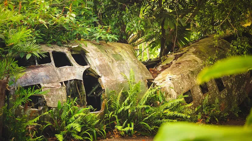 The Survival Mindset, A Skill We Must Master
