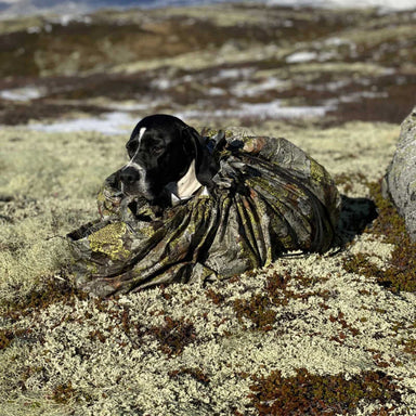 Jerven Fjellduken Lair Jerven Bag For Dogs In Mountain Camouflage